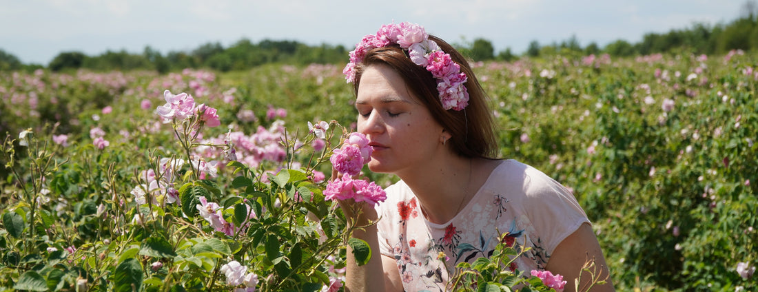 Tajomstvo Bio Ruže damašskej:Prečo je kľúčová pre vašu pleť🌹