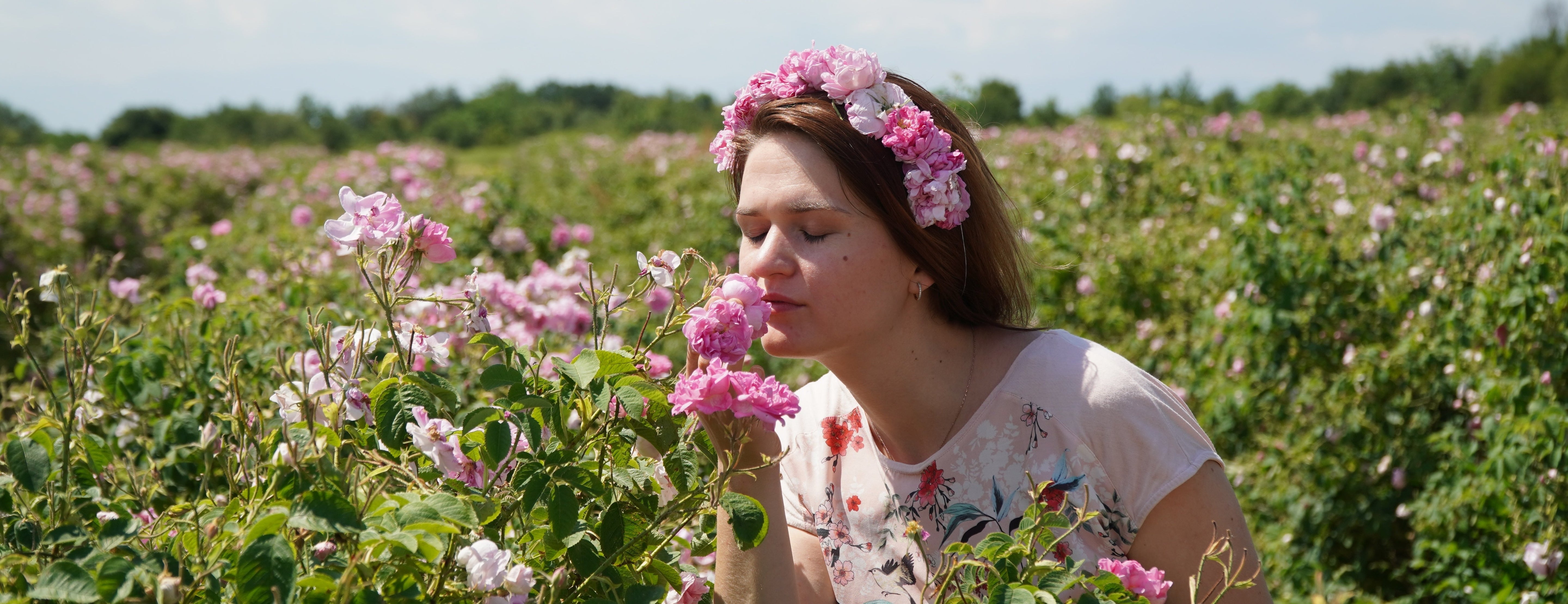 Tajomstvo Bio Ruže damašskej:Prečo je kľúčová pre vašu pleť🌹