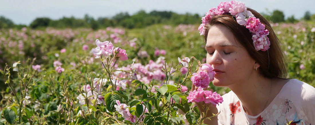 Tajomstvo Bio Ruže damašskej:Prečo je kľúčová pre vašu pleť🌹